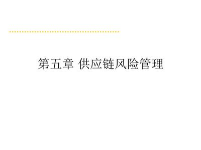 (优)供应链风险管理.ppt